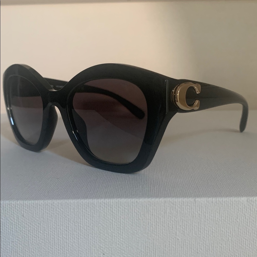 Maxi Sculpted C Oversized Geometric Sunglasses